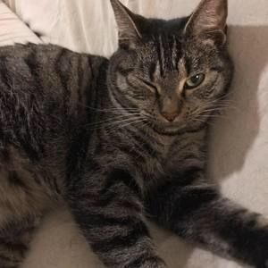 Meet your Posher, Michelline